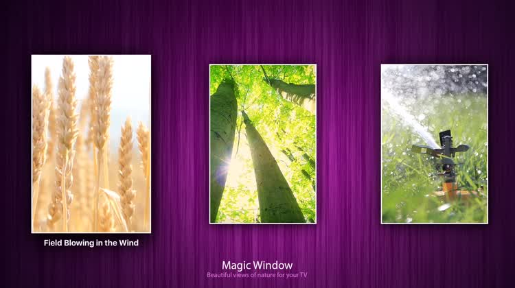 Select a relaxing scene