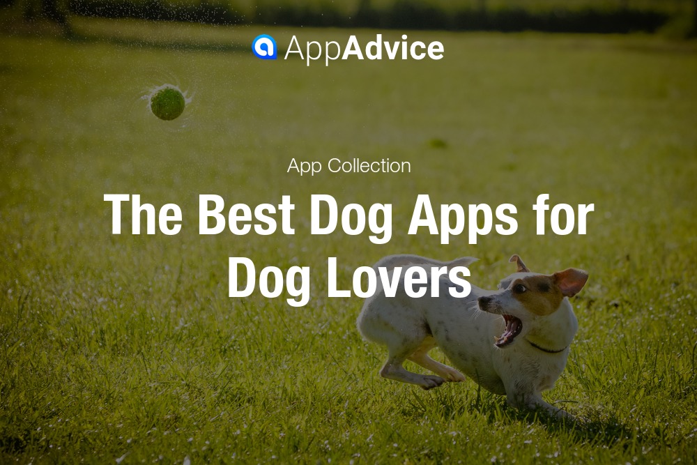 Best Dog Apps for Dog Lovers