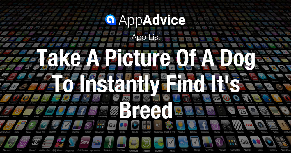 Take A Picture Of A Dog To Instantly Find Breed The Best