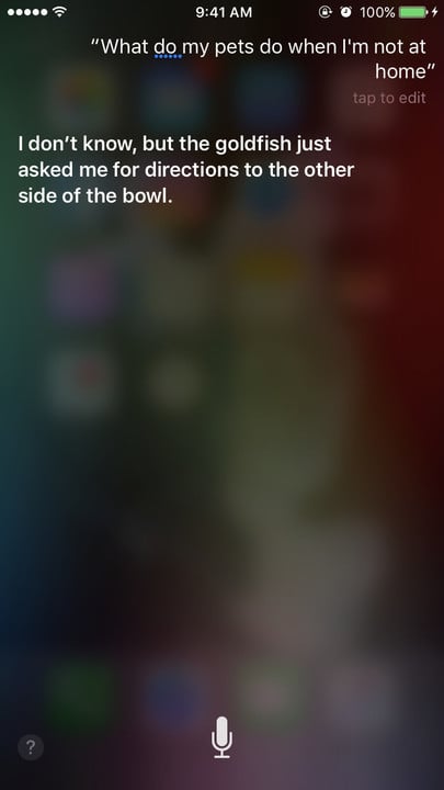 siri 2001 space odyssey