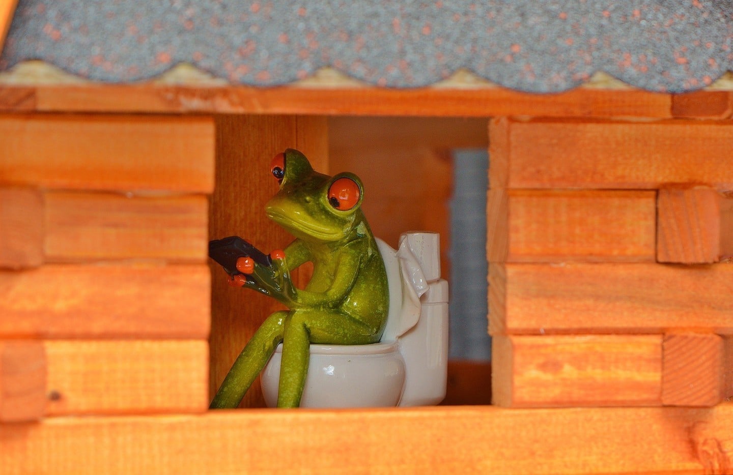 This frog has an unread message he wants to read