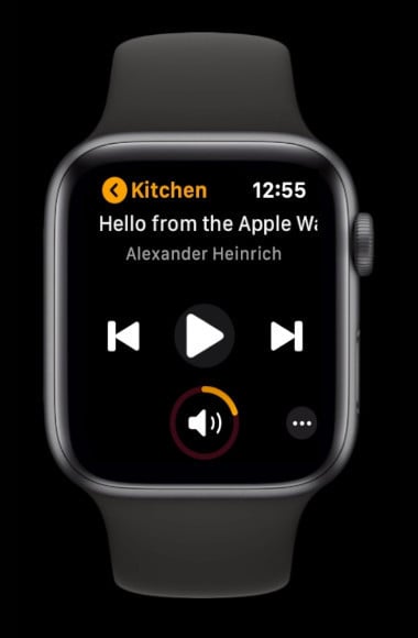 besværlige Overlegenhed tildele Lyd Provides an Unofficial Way to Control Sonos Speakers from Apple Watch