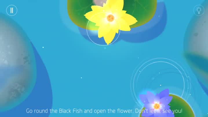 Embark on a puzzling journey of purification in Koi